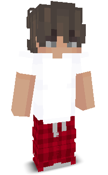 YogiYT's skin