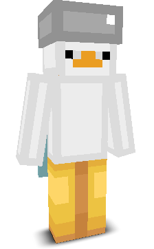 Hardcore_PVP99's skin