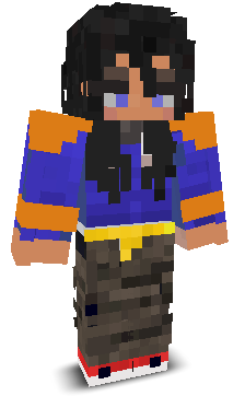 AbisZCraft's skin