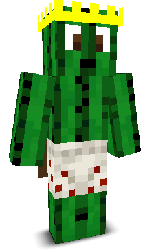 EnvixityCactus's skin