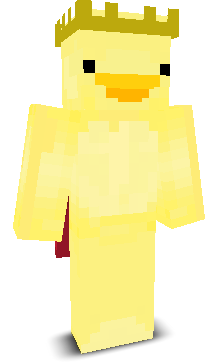 gandalfthegrey20's skin