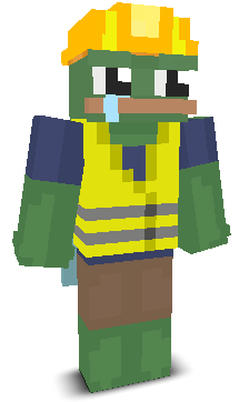 PepeBeed's skin