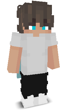RiskingMC's skin