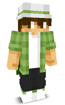 Steaplus's skin