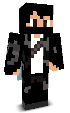 FN_PROGAMER's skin