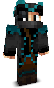 duks8989's skin