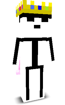 Niko_PL9102's skin
