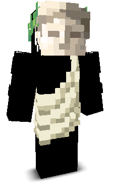 Pankboiii's skin