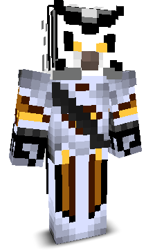 CheekyOwlNinja's skin