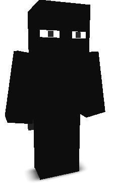 minecraftninja_'s skin