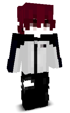 PlayerMZ1's skin