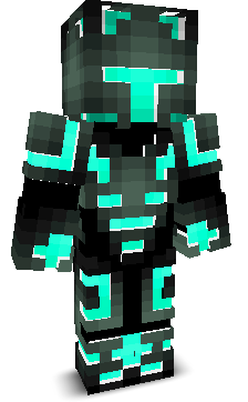 swordsinsanee's skin