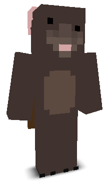lucasjhoog's skin
