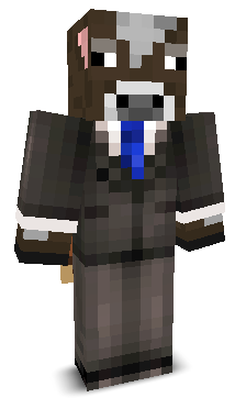 20progamer11's skin