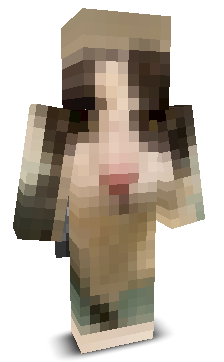 FForestX5's skin
