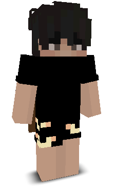 ValkataAssasIN's skin