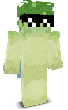 skibidi87's skin