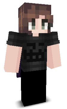 Janironsblocks's skin