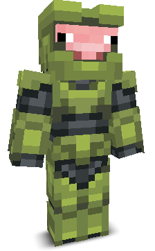 gajudin_'s skin