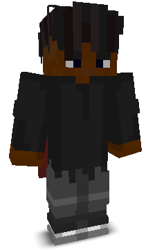 ri1beiro's skin