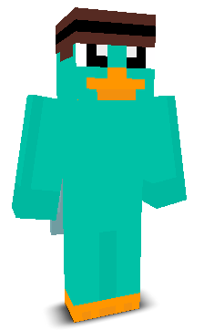 Schlatzenmeier's skin