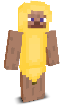 Pr0Xzy's skin
