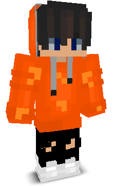 Roko2403's skin