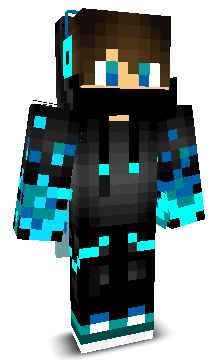 13711's skin