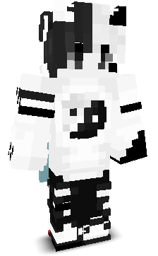 Raniking1111's skin