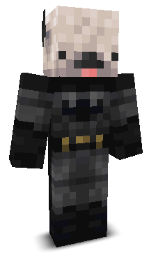 HaydraMc_'s skin