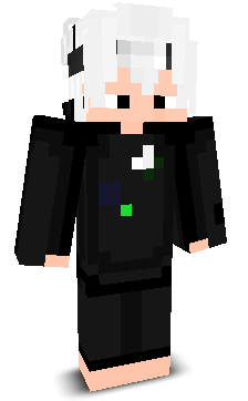 anyart12333's skin