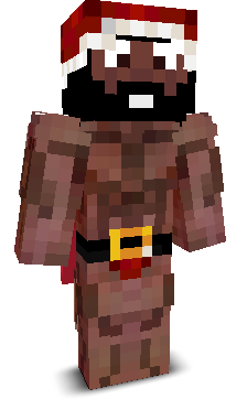 BridgeFight's skin