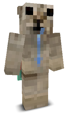 wackonet's skin