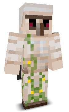 Treinadoorr's skin