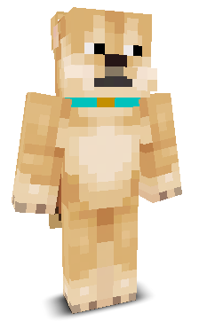 Bodyguard92's skin