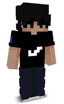 raid_ace's skin