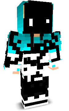 ludoseek's skin