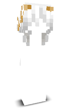 dewierw's skin