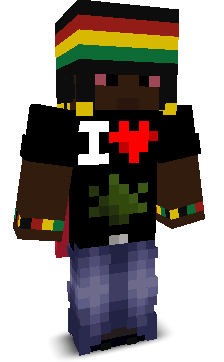 Guesstimate's skin
