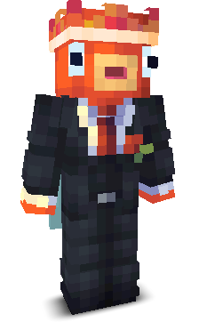 VisOpFiets's skin