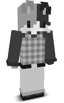 GameXWwinST's skin
