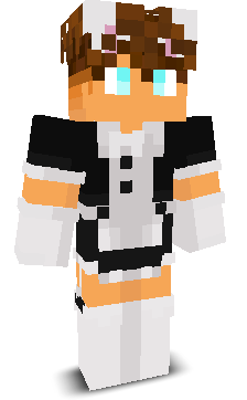 SAT_AMIX's skin