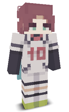 totalnpc's skin