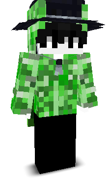 wycieraczka's skin
