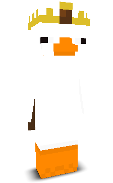 FireLizard957's skin