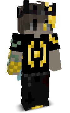 _NwR00's skin