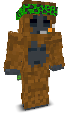 Kocingoo's skin