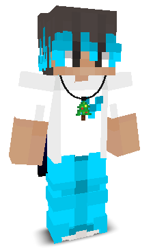 Z_zori_I's skin