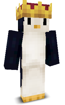 PenguinFighter67's skin