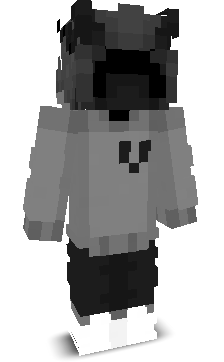 Zerix_PL's skin
